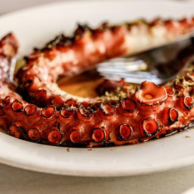 Grilled Octopus.
