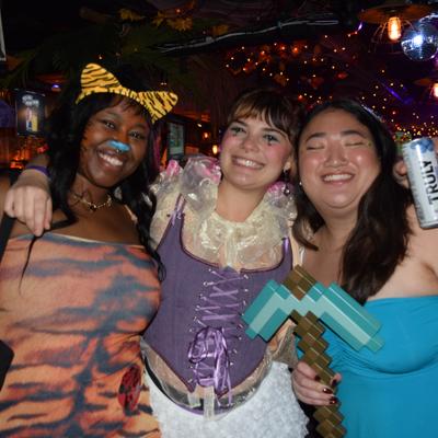 gallery photo number 394