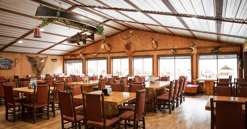 Interior, dining area