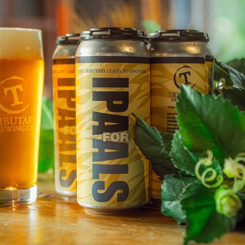 menu item 4 of 9, IPA FOR ALS