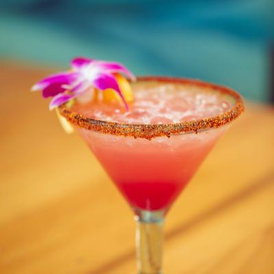 gallery photo number 4