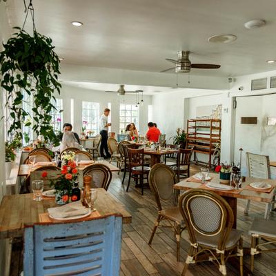 Cozy  interior with wooden tables, wicker chairs, and lush plants, Patrons enjoy a relaxed ambiance.