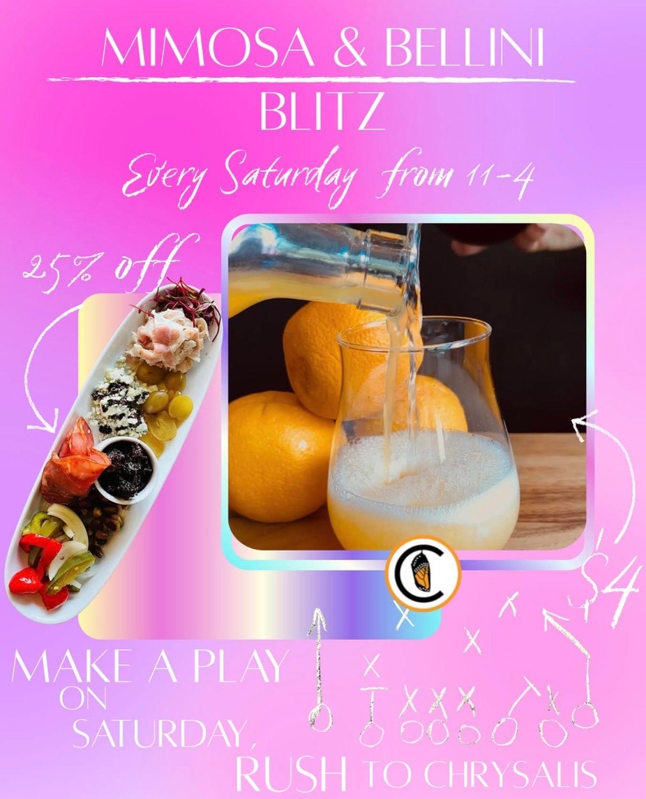 Saturday November 15th Special 1