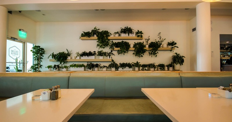 Interior, tables and booths, wall decoration in the back