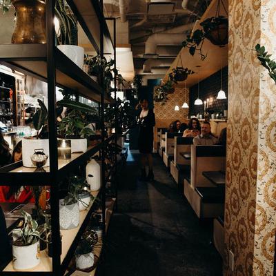 Interior with booth seating, lush greenery on shelves, and pendant lights.