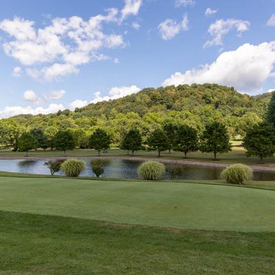 gallery photo number 2