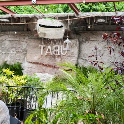 gallery photo number 2