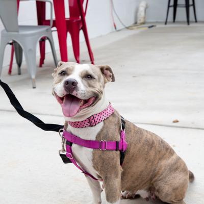 gallery photo number 24