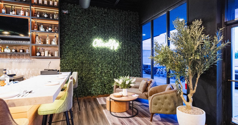Seating area with green wall and a potted plant