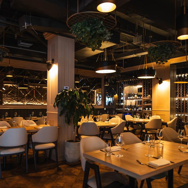 Interior, dining area