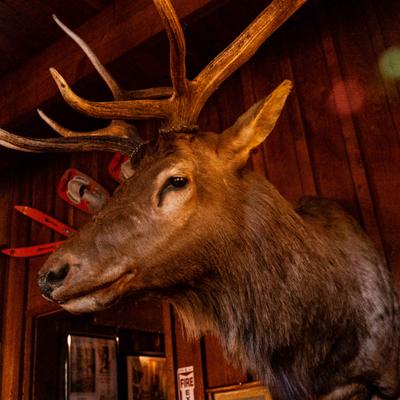 gallery photo number 11