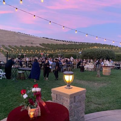 Lawn seating area crowded with guests.