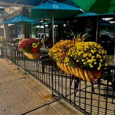 red yellow orange fall flowers on our patio with outdoor tables and umbrellas creating an enticing atmosphere.