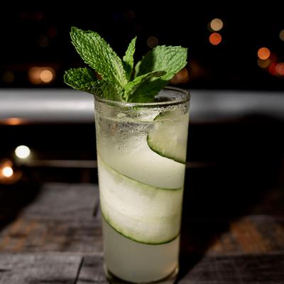 Cocktail in a colins glass garnished with cuccamber and mint spring.