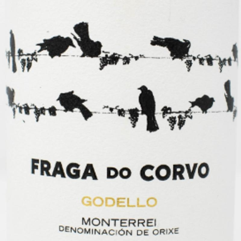 Fraga do Corvo, 100% Godello, Galcia, Spain, 2023 photo