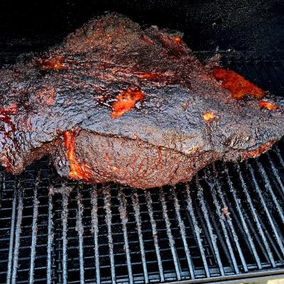 gallery photo number 55