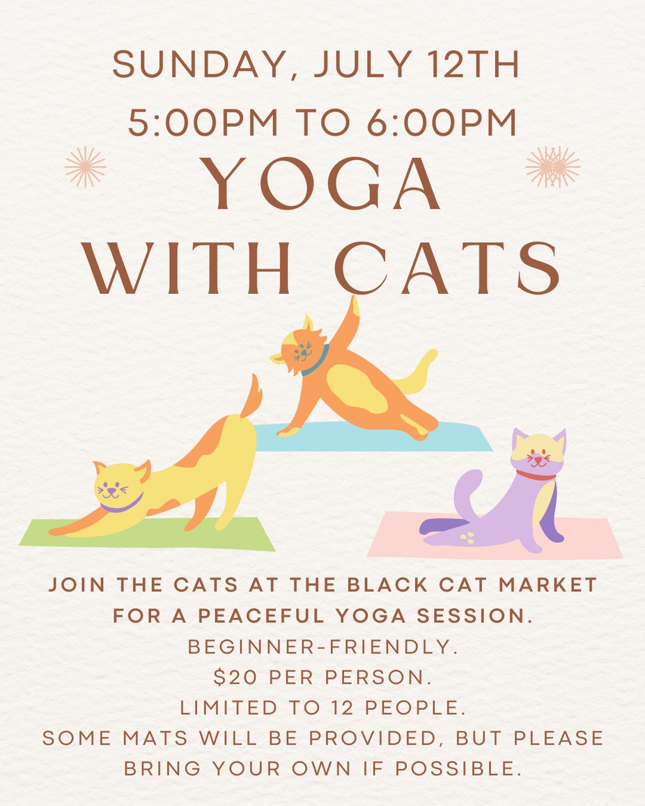 Yoga with Cats -July 12th event photo