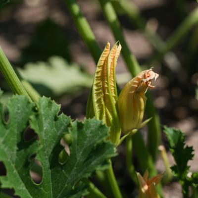 gallery photo number 27