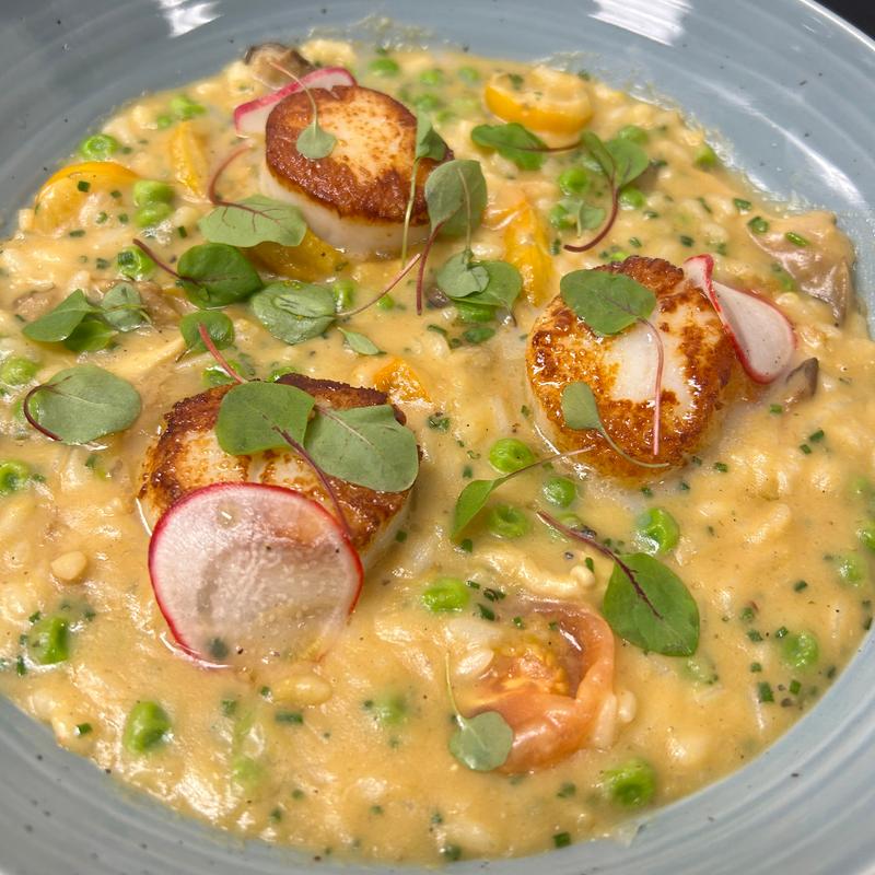 Pan-Seared U10 Scallops on Dhal Risotto photo
