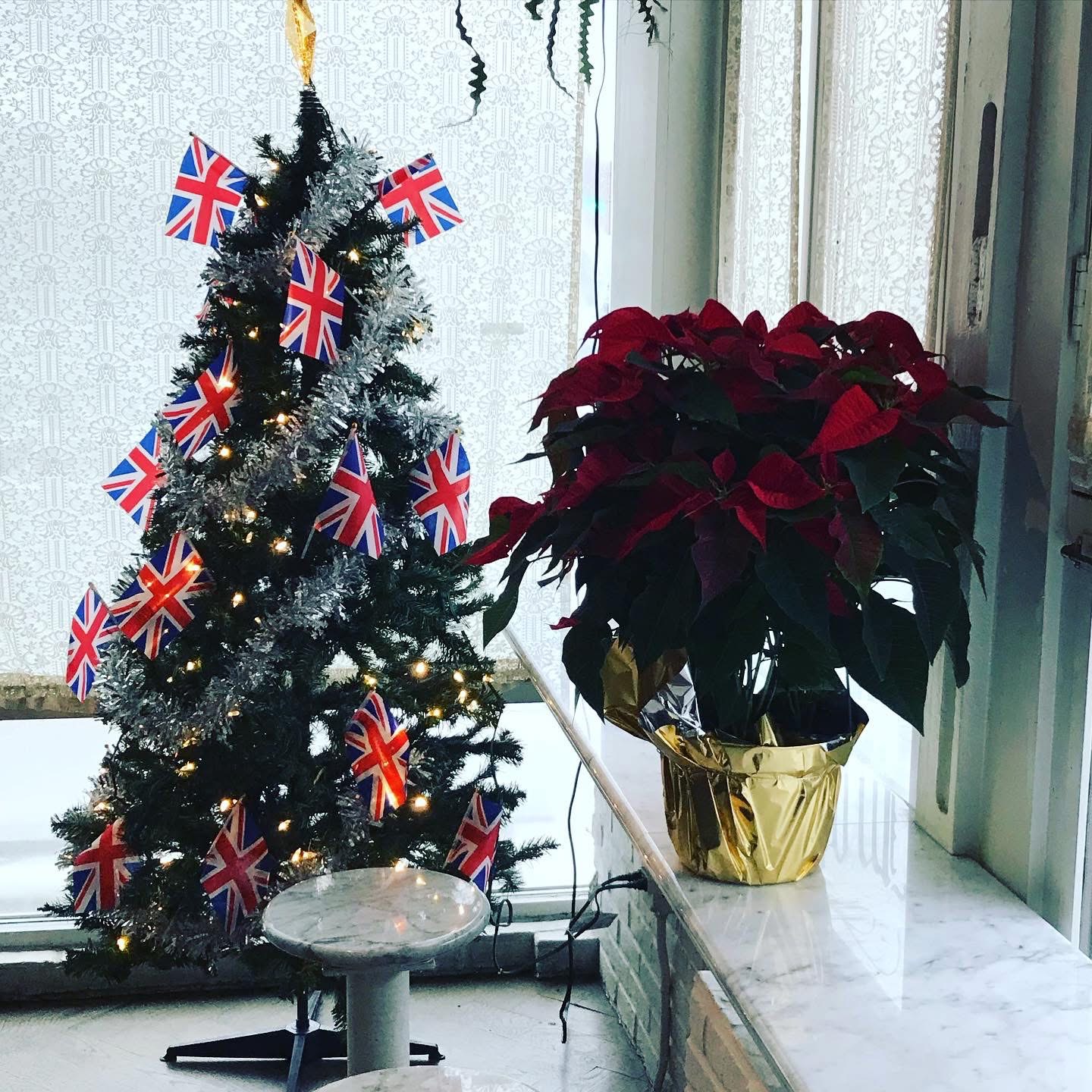 Photo of Pleasant House Christmas tree with silver tinsel and union jack flags and a large poinsettia next to it
