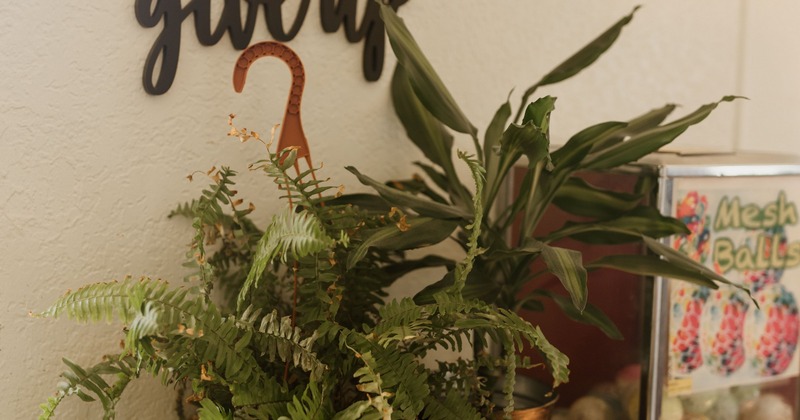Interior with decorative plants