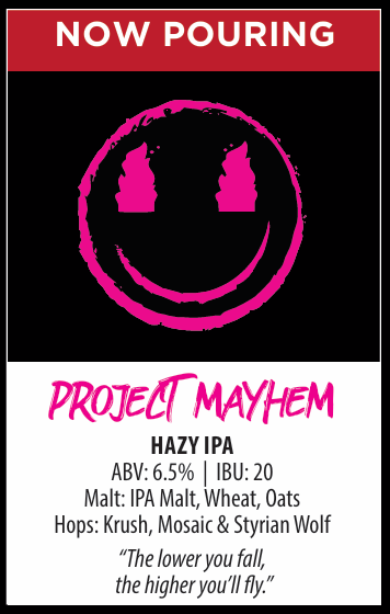 Project Mayhem photo