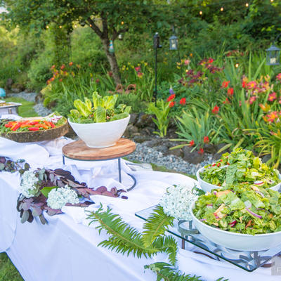 Four salads on the table with garden in the back