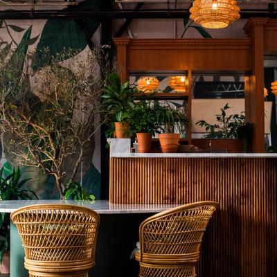 Interior, furniture elements and indoor plants.