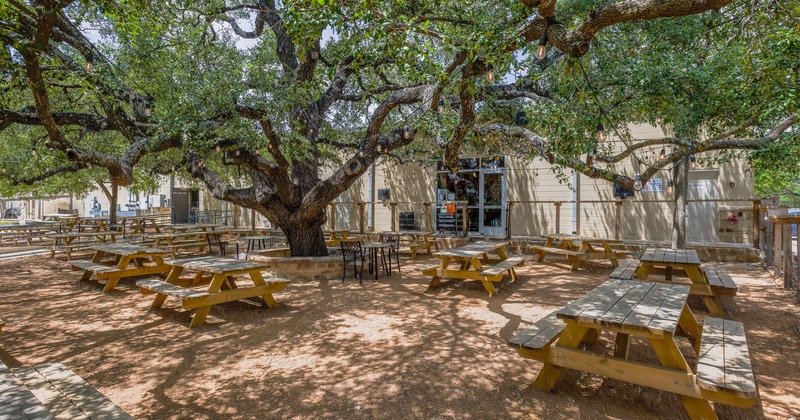Exterior, patio, wooden tables and bench seating under a large tree