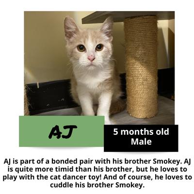 gallery photo number 8