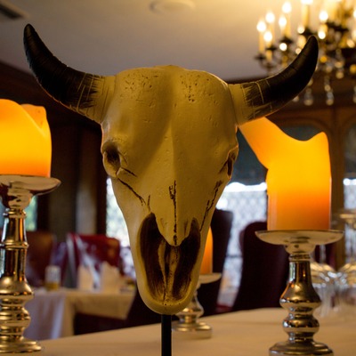 Bull skull decoration.