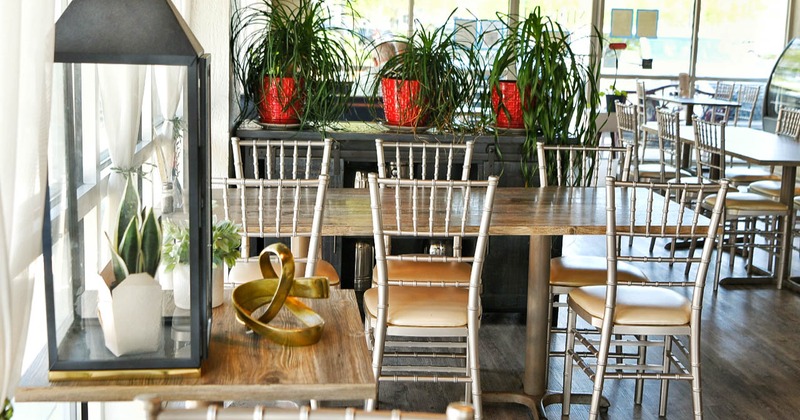 Interior, dining table, chairs, plants behind