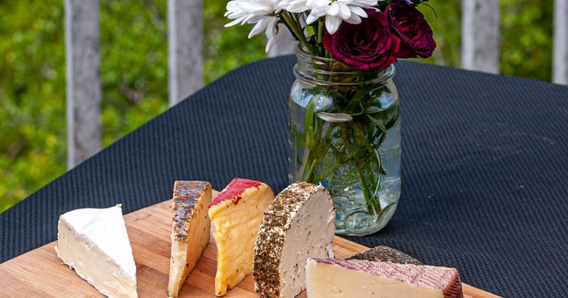 Cheese sampler plate with crackers and a flowerpot in the back