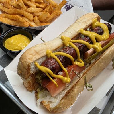 Grilled hot dog with mustard, tomatoes, onions and fries on a tray.