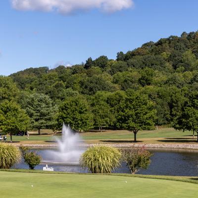 gallery photo number 9