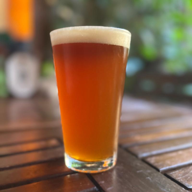 Eylsian Night Owl photo