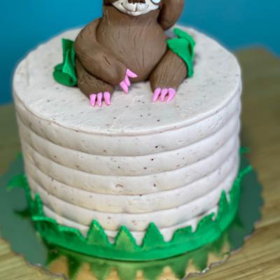 gallery photo number 47