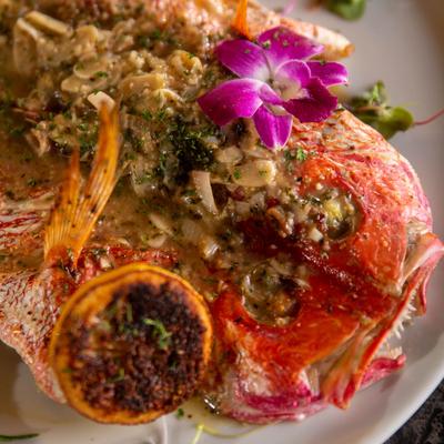 Roasted whole red snapper topped with a sauce