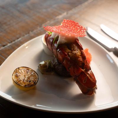 gallery photo number 233