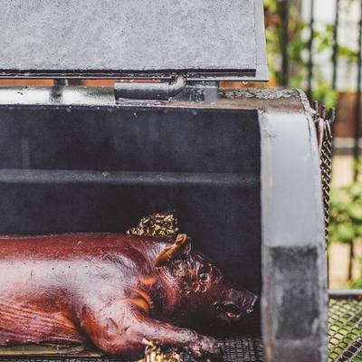 gallery photo number 105