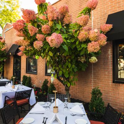Elegant outdoor dining area with blooming hydrangeas.