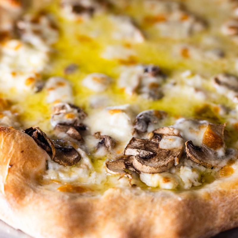 Truffled Mushroom photo