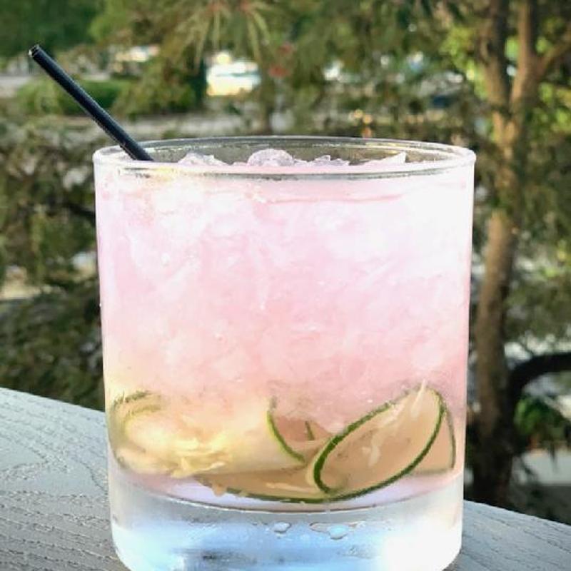 Aloe you Longtime photo