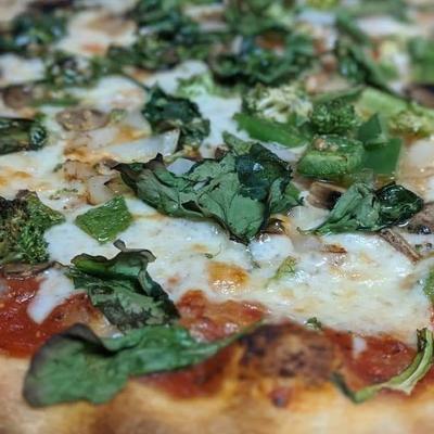 gallery photo number 99