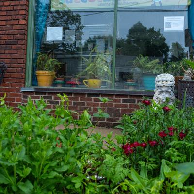 gallery photo number 30