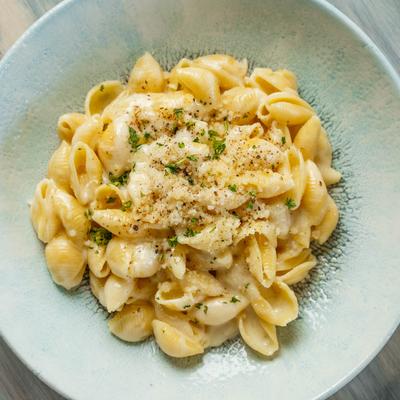 Conchiglie ai Quattro Formaggi - Shells in 4 Cheeses: Fontina, Gruyere, Mozzarella, Parmigiana.