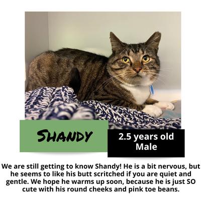 gallery photo number 9