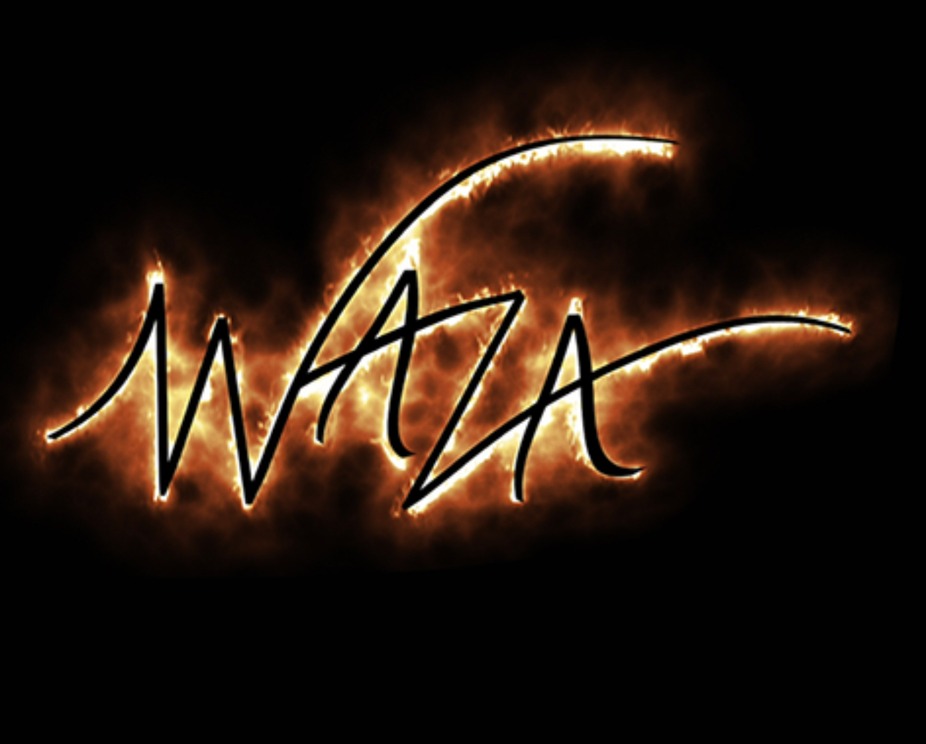 WAZA event photo
