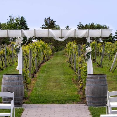 gallery photo number 59