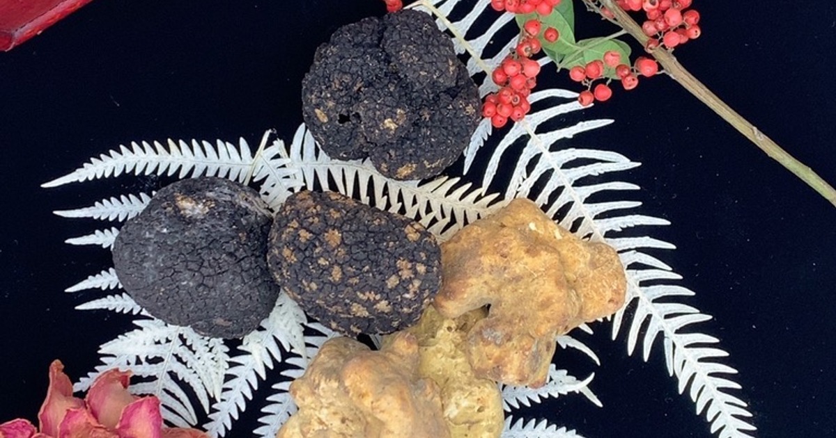 The Best Truffle Restaurant in Hawaii, enjoy seasonal truffle any time!